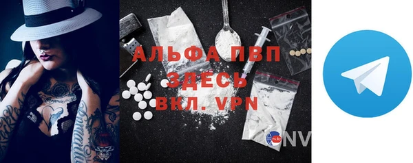 дурь Пересвет