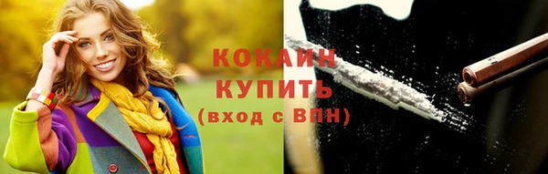 дурь Пересвет
