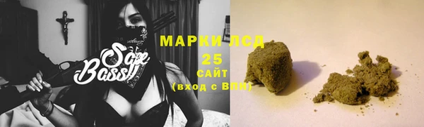 шишки Переславль-Залесский