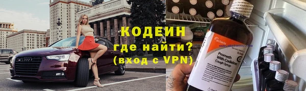 шишки Переславль-Залесский