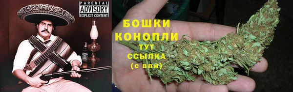 дурь Пересвет
