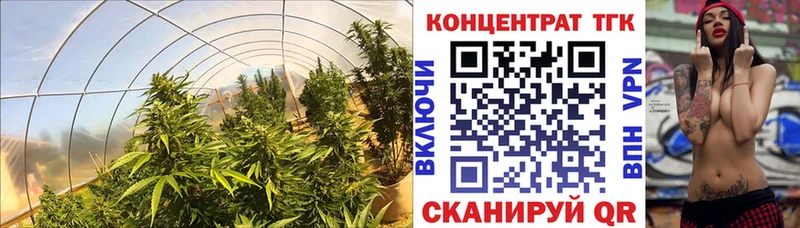 ТГК жижа  даркнет сайт  Оханск 
