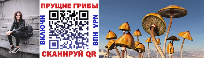 Галлюциногенные грибы мицелий Оханск