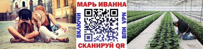 Канабис сатива  Оханск 